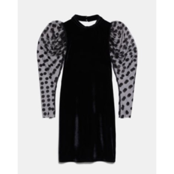 NEW! HP 🥳🥳🥳Zara Velvet Look Long Sleeve Dress with Polka Dot Detail - Picture 3 of 11
